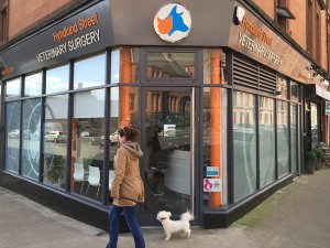 hyndland street vet shop front